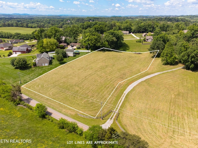 1223 Walker Rd, Maryville, TN 37801 - photo 5