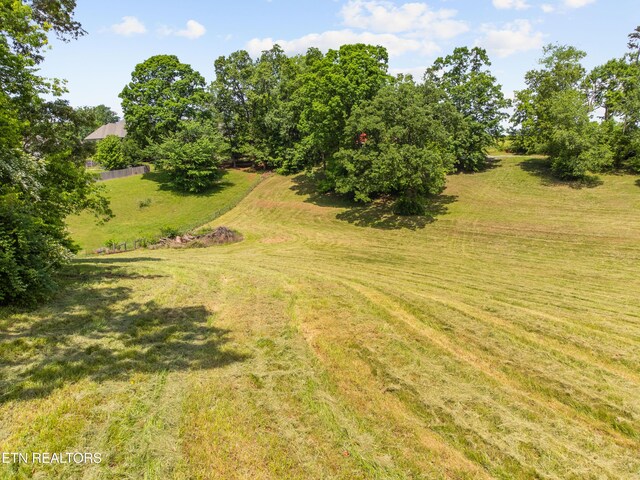 1223 Walker Rd, Maryville, TN 37801 - photo 9