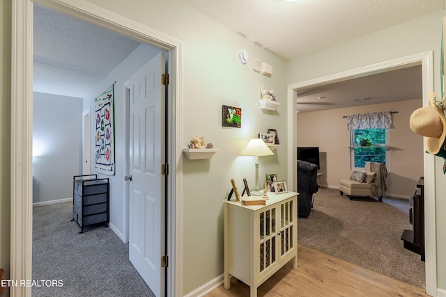 702 Shane Dr, Maryville, TN 37804 - corridor with a textured ceiling, light carpet, light wood-style flooring, and baseboards