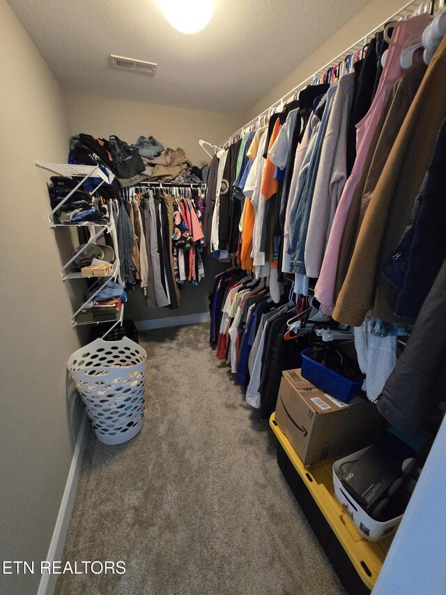 walk in closet featuring carpet