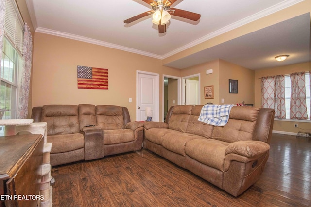 146 Prospect Rd, Maynardville, TN 37807 - living area with dark wood-style floors, ceiling fan, crown molding, and baseboards