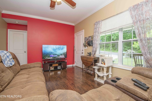 146 Prospect Rd, Maynardville, TN 37807 - living room featuring a ceiling fan, wood finished floors, and ornamental molding