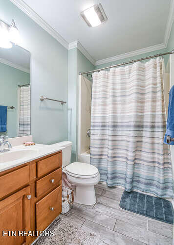 515 Oak Landing Ln Unit 4, Knoxville, TN 37934 - bathroom with crown molding, vanity, and toilet