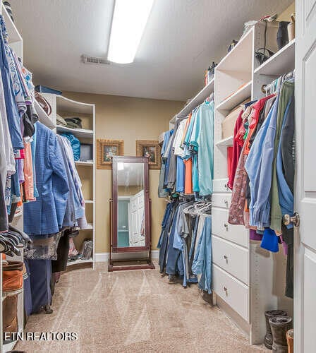 515 Oak Landing Ln Unit 4, Knoxville, TN 37934 - walk in closet with light carpet