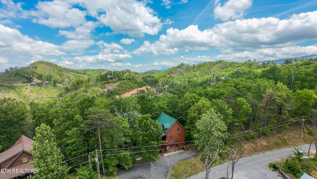 drone / aerial view of a heavily wooded area and a mountain backdrop