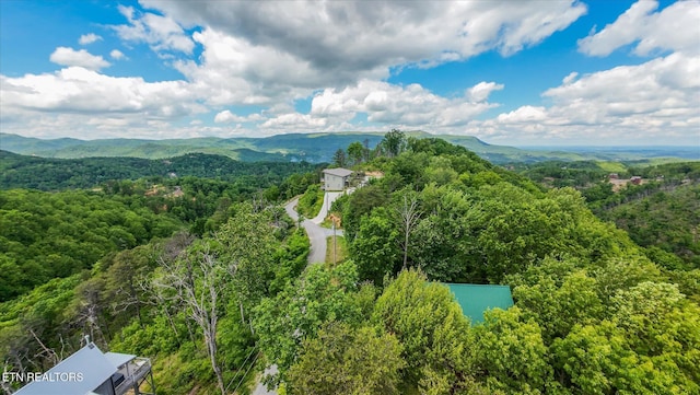 drone / aerial view of a heavily wooded area and a mountainous background