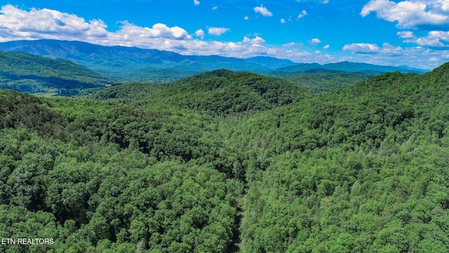view of mountain backdrop featuring a heavily wooded area