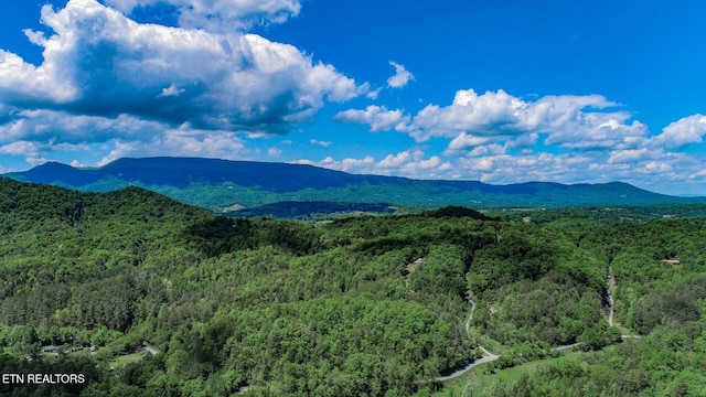 mountain view featuring a forest