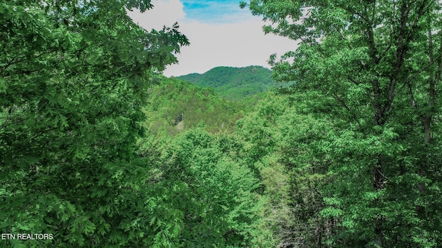 view of mountain backdrop
