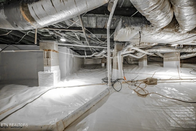 basement featuring crawl space