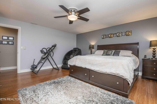 409 Celebration Rd, Knoxville, TN 37934 - bedroom with wood finished floors, baseboards, and a ceiling fan