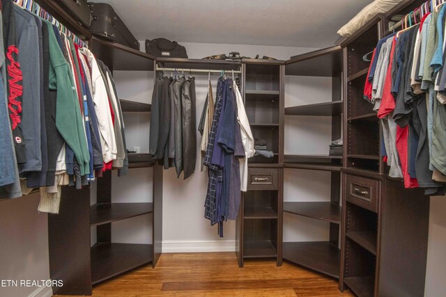 409 Celebration Rd, Knoxville, TN 37934 - walk in closet with wood finished floors