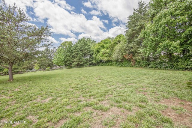 409 Celebration Rd, Knoxville, TN 37934 - view of yard
