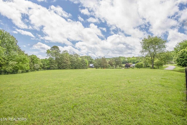 409 Celebration Rd, Knoxville, TN 37934 - view of green lawn with a view of trees