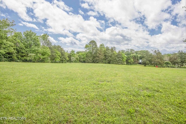 409 Celebration Rd, Knoxville, TN 37934 - view of green lawn featuring a view of trees and a view of countryside