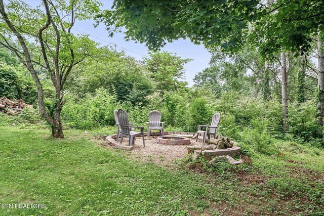 241 Greenwood Dr, Harriman, TN 37748 - photo 37
