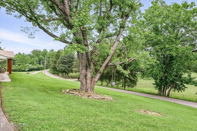 241 Greenwood Dr, Harriman, TN 37748 - photo 38