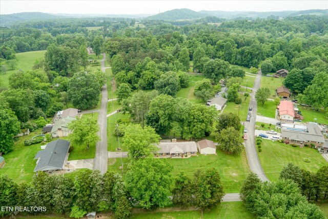 241 Greenwood Dr, Harriman, TN 37748 - photo 41