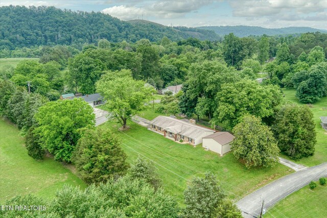 241 Greenwood Dr, Harriman, TN 37748 - photo 42