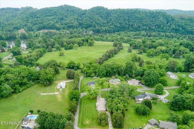 241 Greenwood Dr, Harriman, TN 37748 - photo 44