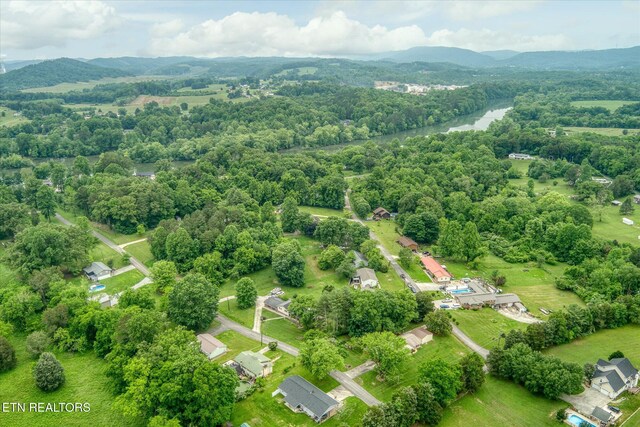 241 Greenwood Dr, Harriman, TN 37748 - photo 45