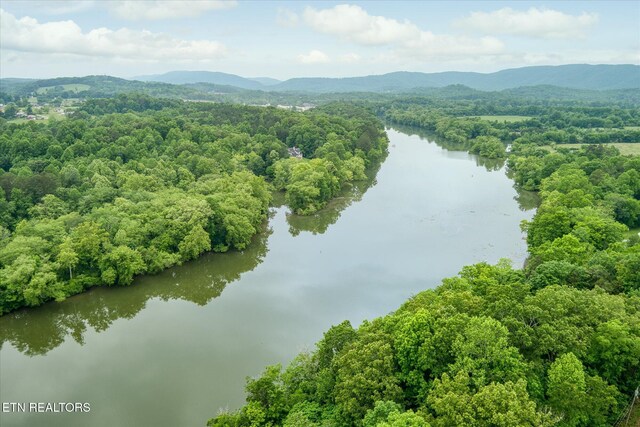 241 Greenwood Dr, Harriman, TN 37748 - photo 46