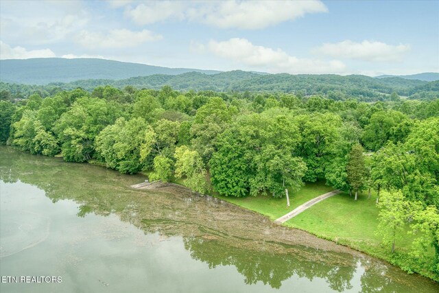 241 Greenwood Dr, Harriman, TN 37748 - photo 48