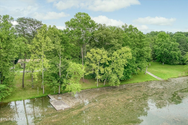 241 Greenwood Dr, Harriman, TN 37748 - photo 49
