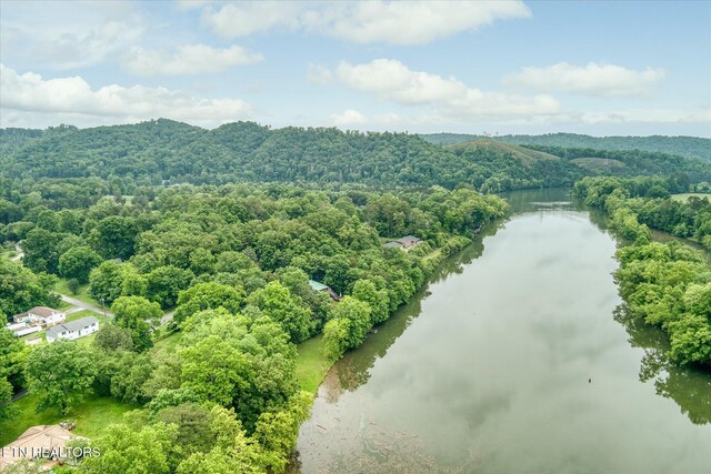 241 Greenwood Dr, Harriman, TN 37748 - photo 47
