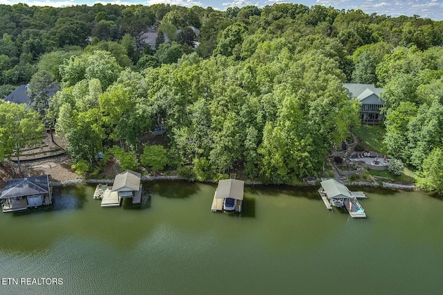 401 Shawnee Pl, Loudon, TN 37774 - bird's eye view of a forest and a nearby body of water
