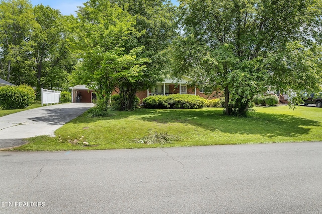513 Long Mill Rd, Athens, TN 37303 - view of property hidden behind natural elements with driveway, a front lawn, brick siding, and a carport
