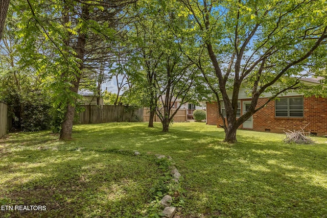 513 Long Mill Rd, Athens, TN 37303 - view of yard