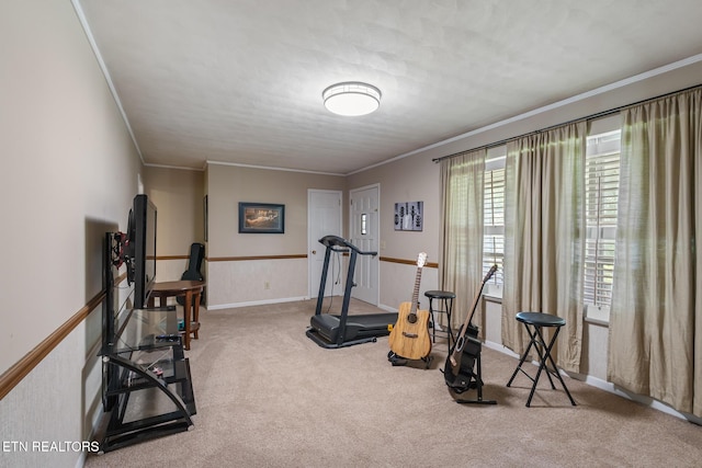 513 Long Mill Rd, Athens, TN 37303 - exercise room featuring carpet and ornamental molding