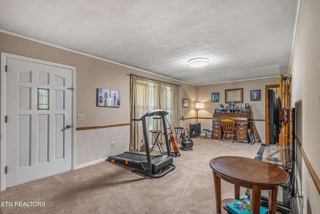 513 Long Mill Rd, Athens, TN 37303 - workout area featuring carpet flooring and ornamental molding