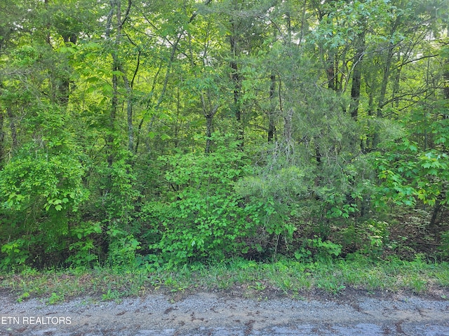 149 Tawny Oak Loop, Crossville, TN 38558