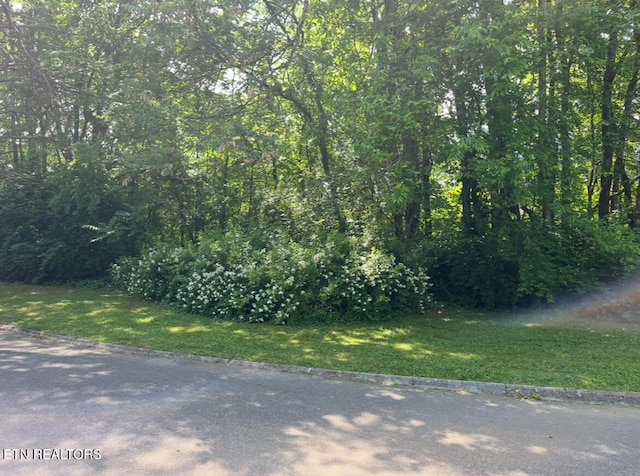 0 Burns Ln, Seymour TN, 37865 land for sale
