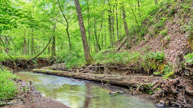 819 NW Morgan Rd, Charleston, TN 37310 - water view