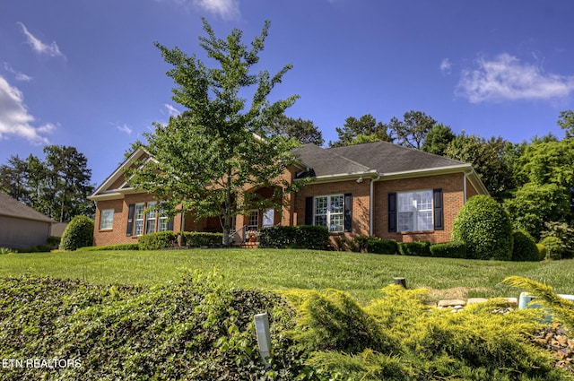 view of front facade featuring brick siding and a front lawn