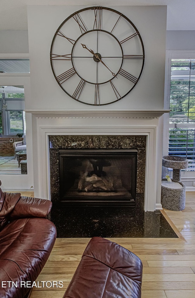 detailed view of a high end fireplace and wood finished floors