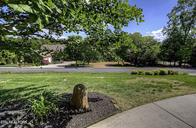 view of green lawn