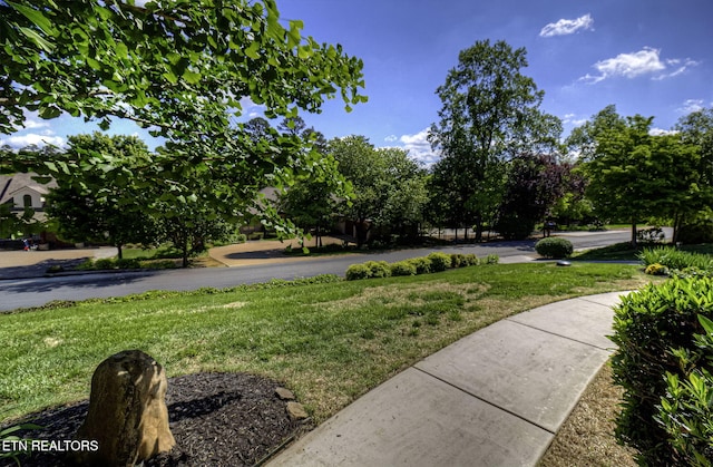 view of grassy yard