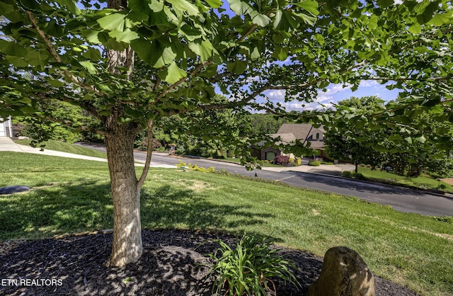 view of front facade with a front lawn