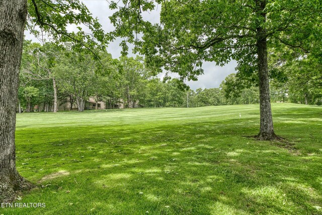 449 Snead Dr, Crossville, TN 38558 - photo 53