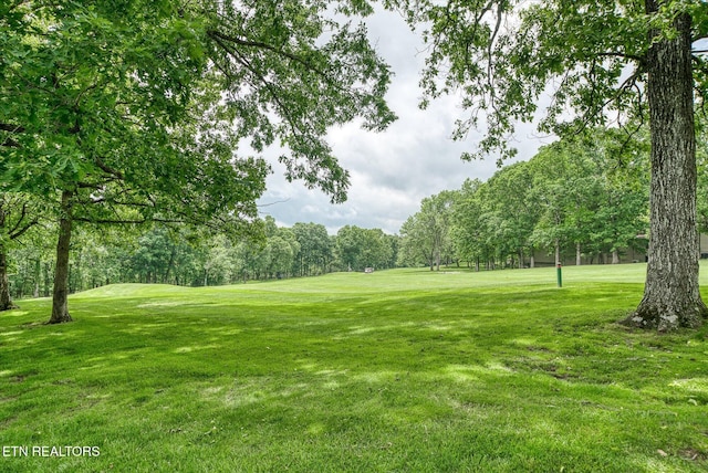 449 Snead Dr, Crossville, TN 38558 - photo 54