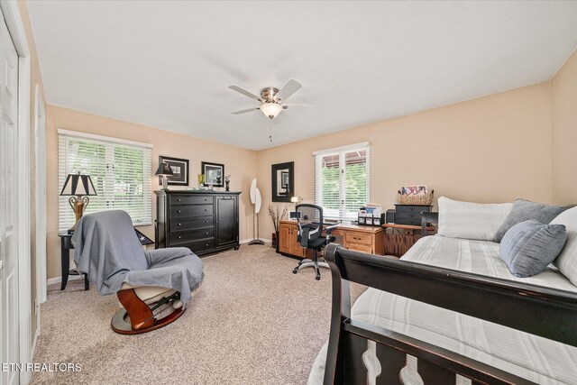 449 Snead Dr, Crossville, TN 38558 - photo 11