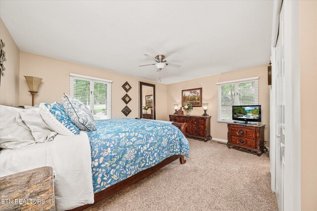 449 Snead Dr, Crossville, TN 38558 - photo 18