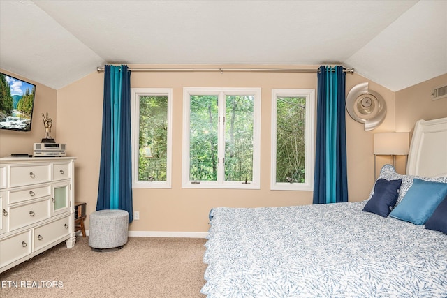 449 Snead Dr, Crossville, TN 38558 - photo 40