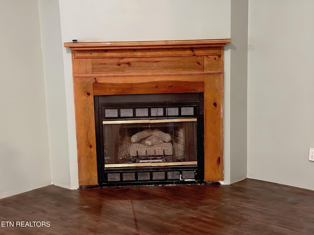 detailed view of a glass covered fireplace and wood finished floors