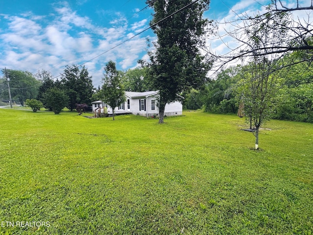 view of grassy yard