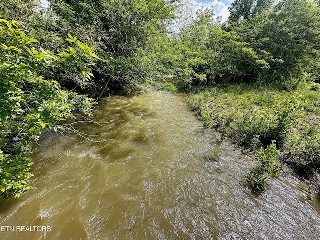 view of nature